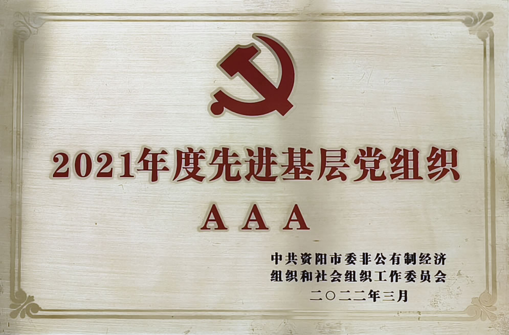 2021年度先进基层党组织AAA